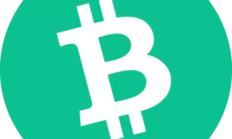 بيتكوين كاش (Bitcoin Cash) هي عملة رقمية فرعية عن البيتكوين، أُنشئت كعملة رقمية بديلة وفي 2018 تفرعت عنها عملة بيتكوين إس في (Bitcoin SV)